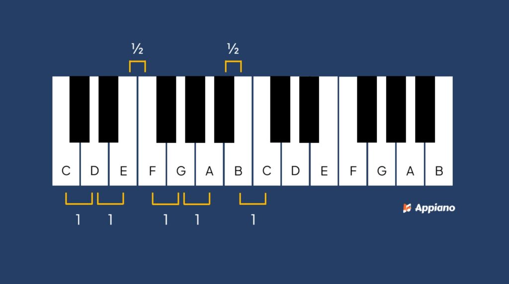 Majeurtoonladder afstanden hele & halve tonen
