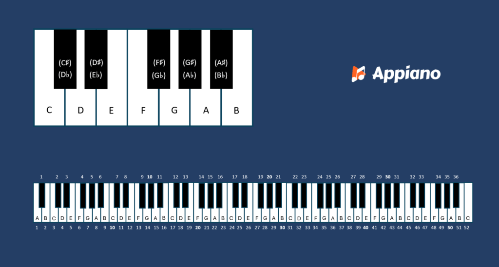 Hoeveel toetsen heeft een piano? Alles over de pianotoetsen | Appiano Hoeveel toetsen heeft een piano