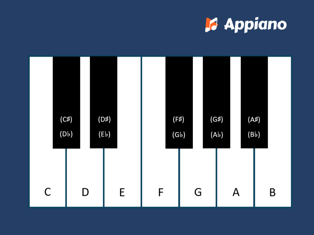 De namen van pianotoetsen in andere talen in Europa | Appiano Pianotoetsen engels