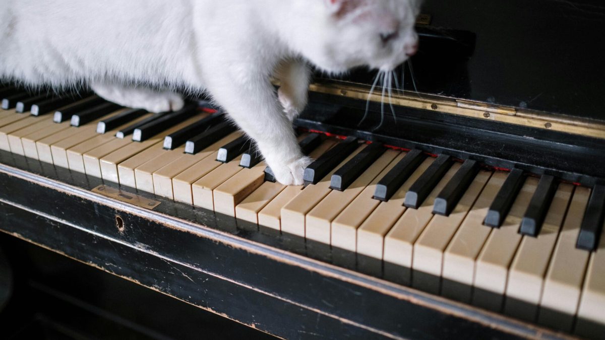 Hele en halve toonafstanden