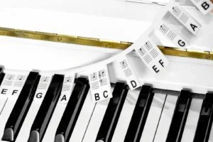 Toetsenwijzer piano